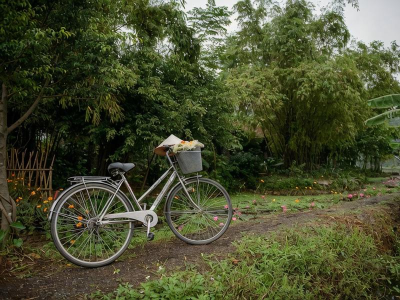 A cream bicycle with a front basket parked on a dirt path under garden trees